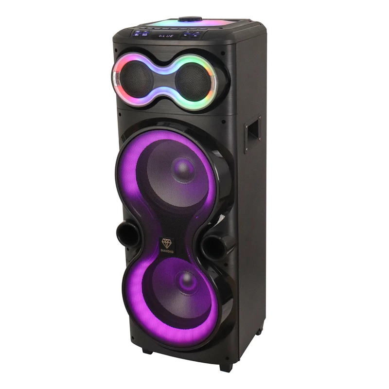 Dual 10 Inch Subwoofer Home Outdoor Party Holiday 180W Peak Powerful Large Boombox Professional Active Stage Speaker for sale