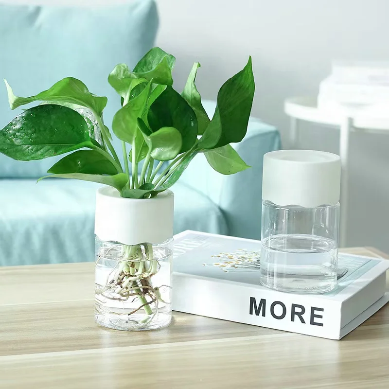 Indoor Office Round Hydroponic Transparent Clear Succulents bunga Vase Planter Self Watering Plastic Flower plant Pots In Bulk