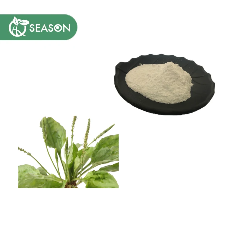 Stable Supply Psyllium Husk Powder 99% Psyllium Husk Powder Price