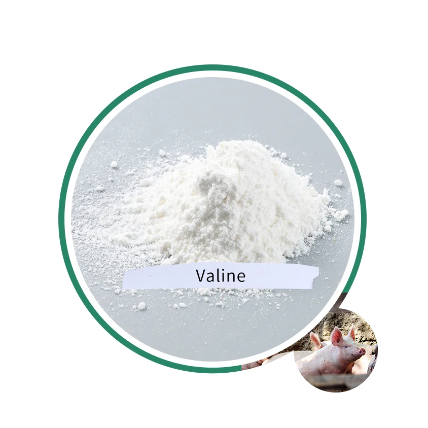 
Food grade 99% essential amino acid, EAA L-Valine 72-18-4 bulk L Valine powder 72-18-4 