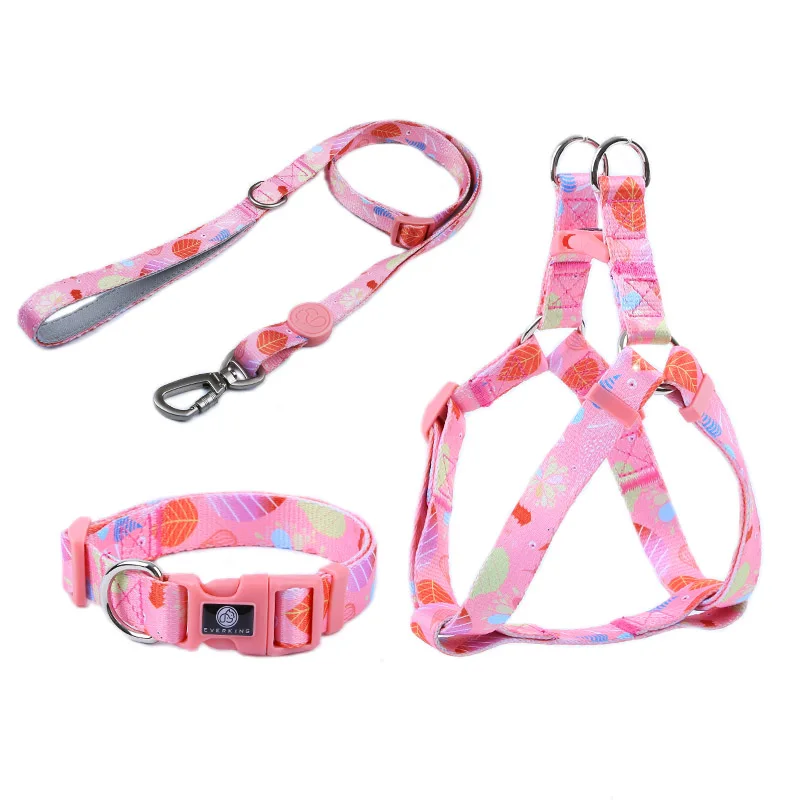 quick release metal buckle dog polyester unique pet leash set design personalize