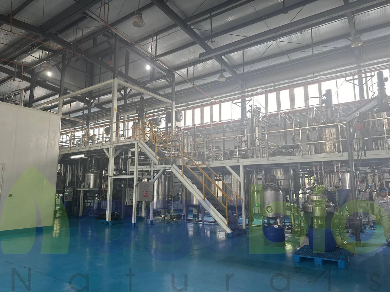 Wholesale price Food Additive Amino Acid l-serine serine CAS 56-45-1 L Serine