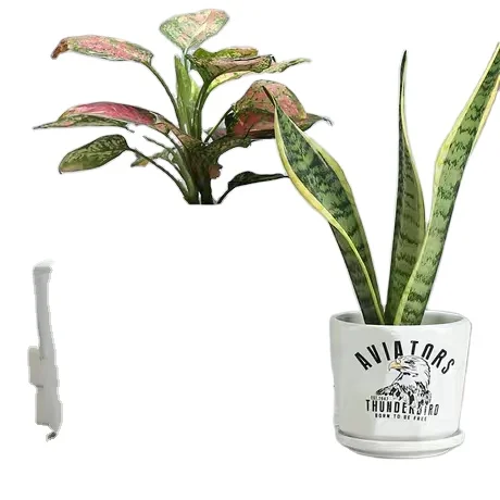 
Ceramic flowerpot Nordic simple style extra-large white tray custom Chinese manufacturers 