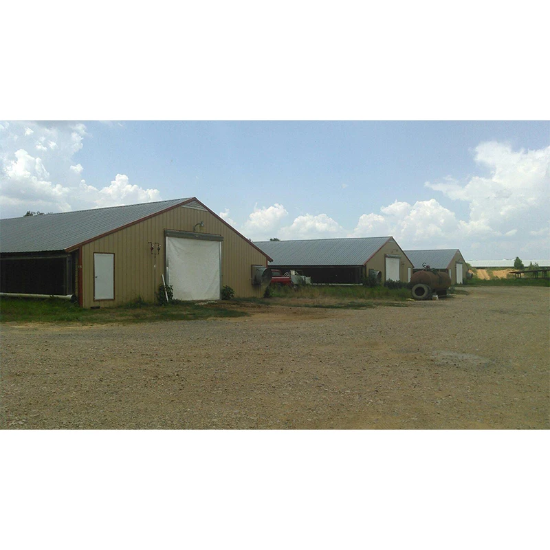small prefab cattle house / galvanized steel portal frame cow sheds with metal materials