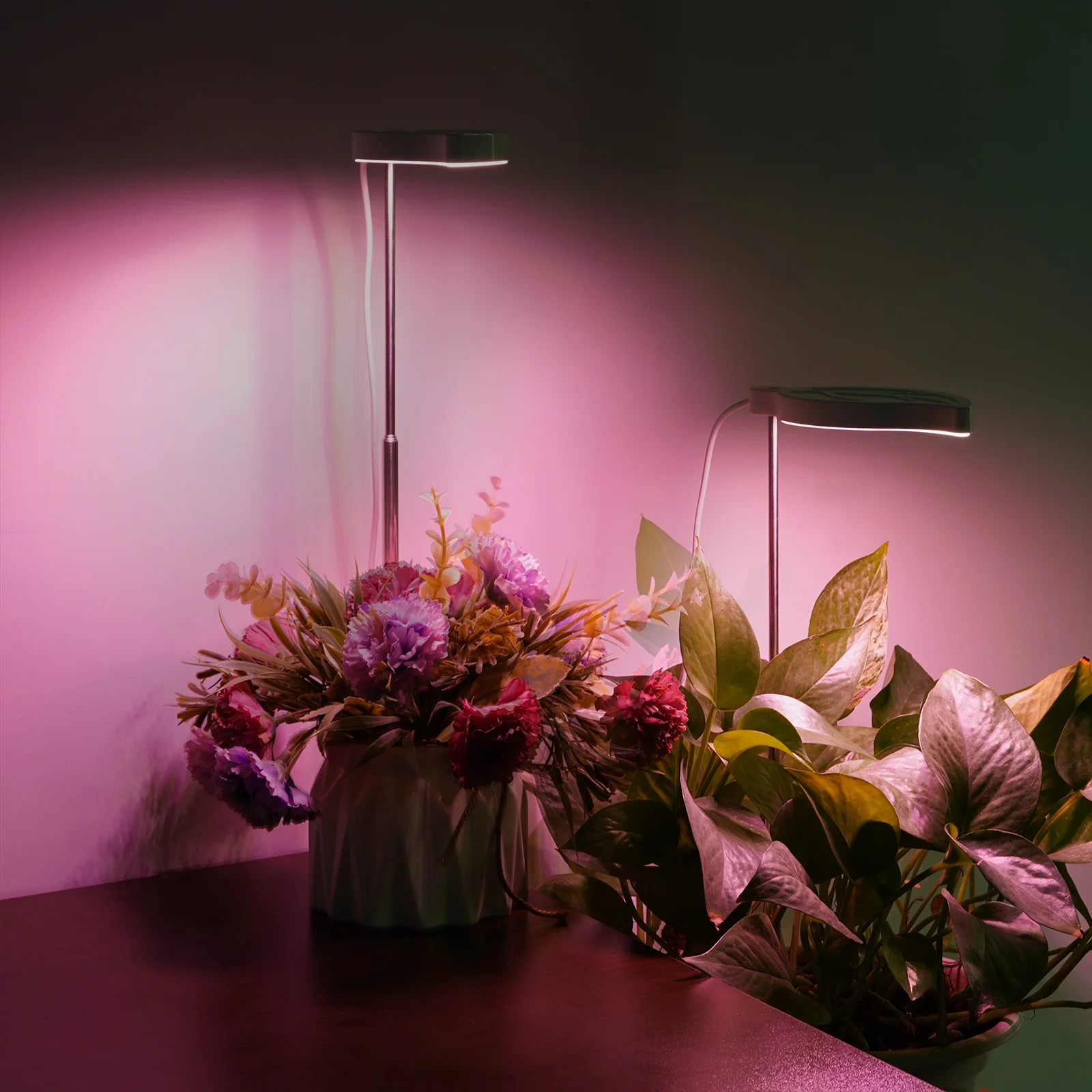 
Original Factory Tube Ring Light Wholesale Small Grow Lights For Indoor Plants 