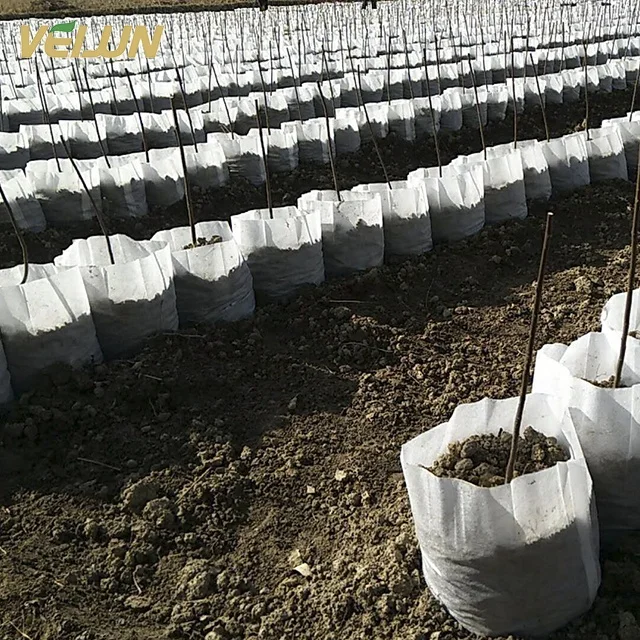 White/Black grow bag Non woven Biodegradable seedling bags seedling pots