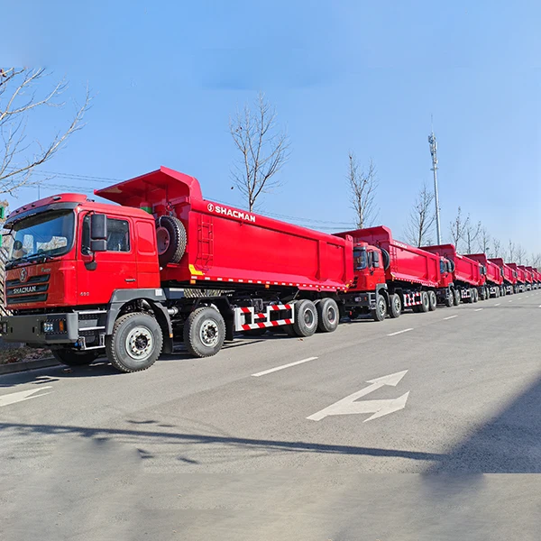 Shacman 8x4 левое вождение бренд F3000 самосвалы для тяжелой машины