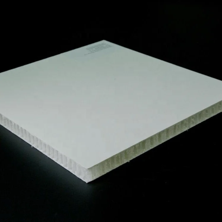 Thermoplastic Composite Sandwich Panels PPhoneycomb PP/PET Foam core
