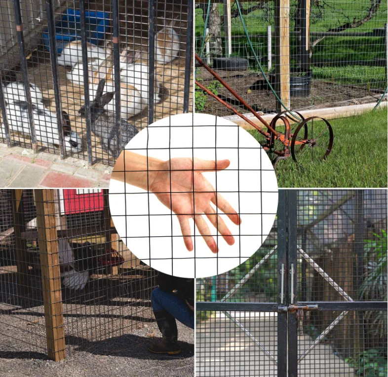 Galvanized PVC Coating Welded Wire Mesh Rolls corrosion-proof road fence protecting the garden or commercial property