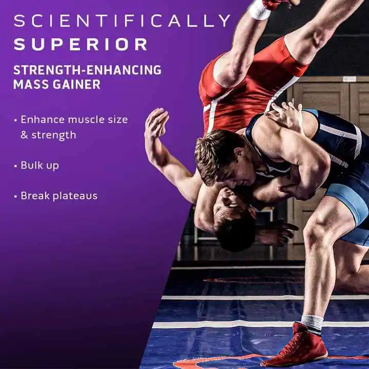 OEM factory sells muscle-increasing nutritional protein powder as health supplement and sports protein supplement powder.
