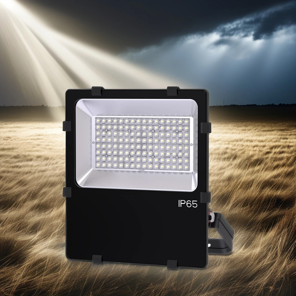 YOUWIN 100W IP66 Waterproof LED Street Lamp High Quality Outdoor Floodlight Spotlight Customizable Wholesale Landscape Lighting