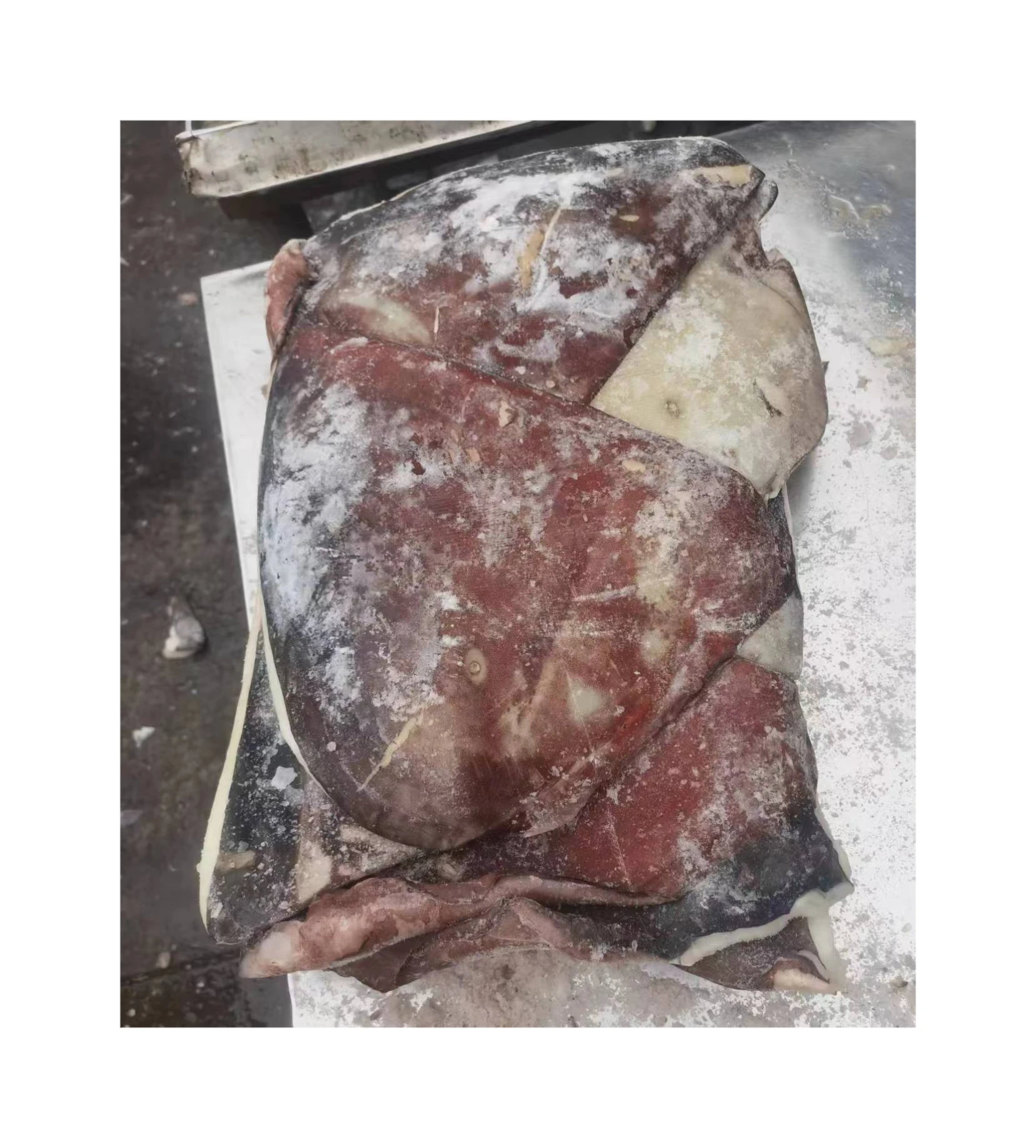 Frozen squid wing hot selling