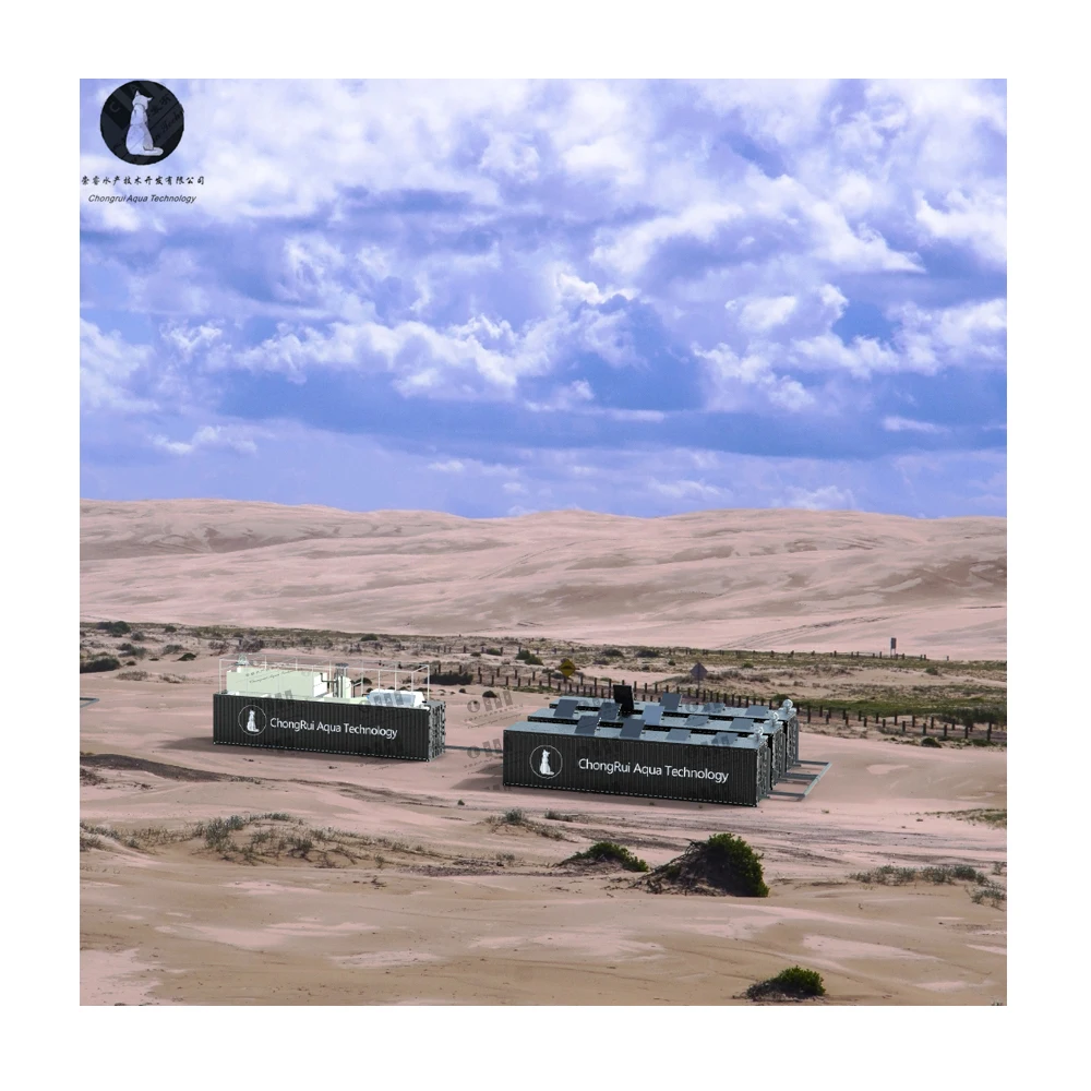 Greenhouse Growing System Commercial Industrial Shipping Container Farm with Ras