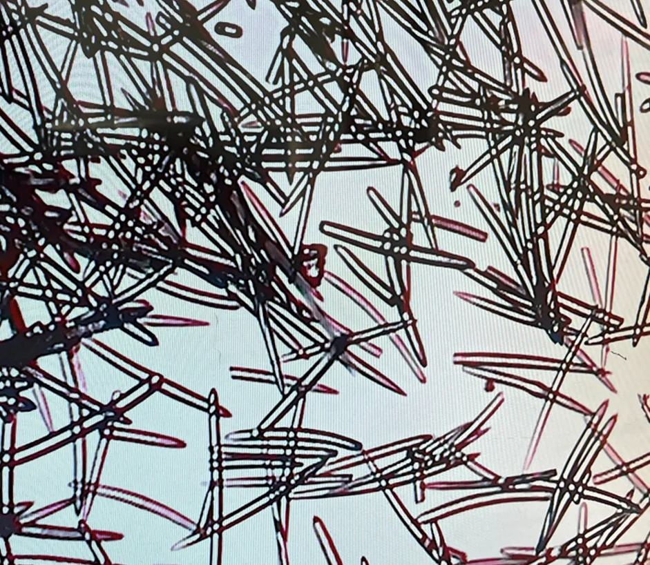 Сырье для ухода за кожей экстракт губки 70% 99% гидролизованный спонж порошок