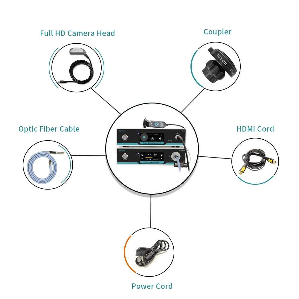 2024 Touch Screen Medical Endoscope Camera and Light Source with Recording Function for Ear Nose Throat ENT