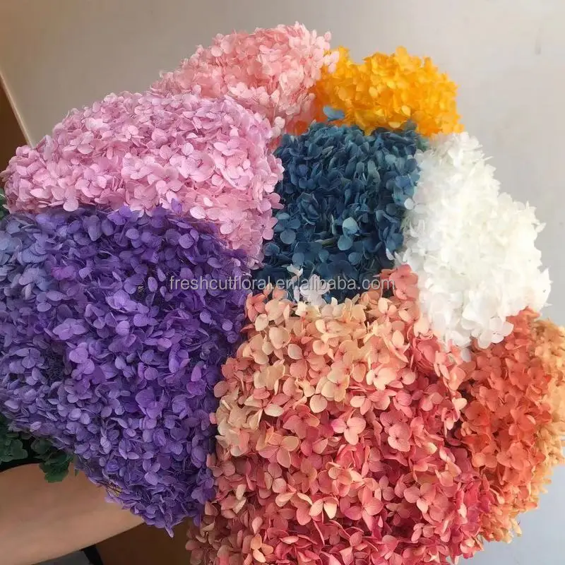 Wholesale the Real Touch Natural Dried Hydrangeas flowers artificial Preserved Hydrangea for wedding Decorations