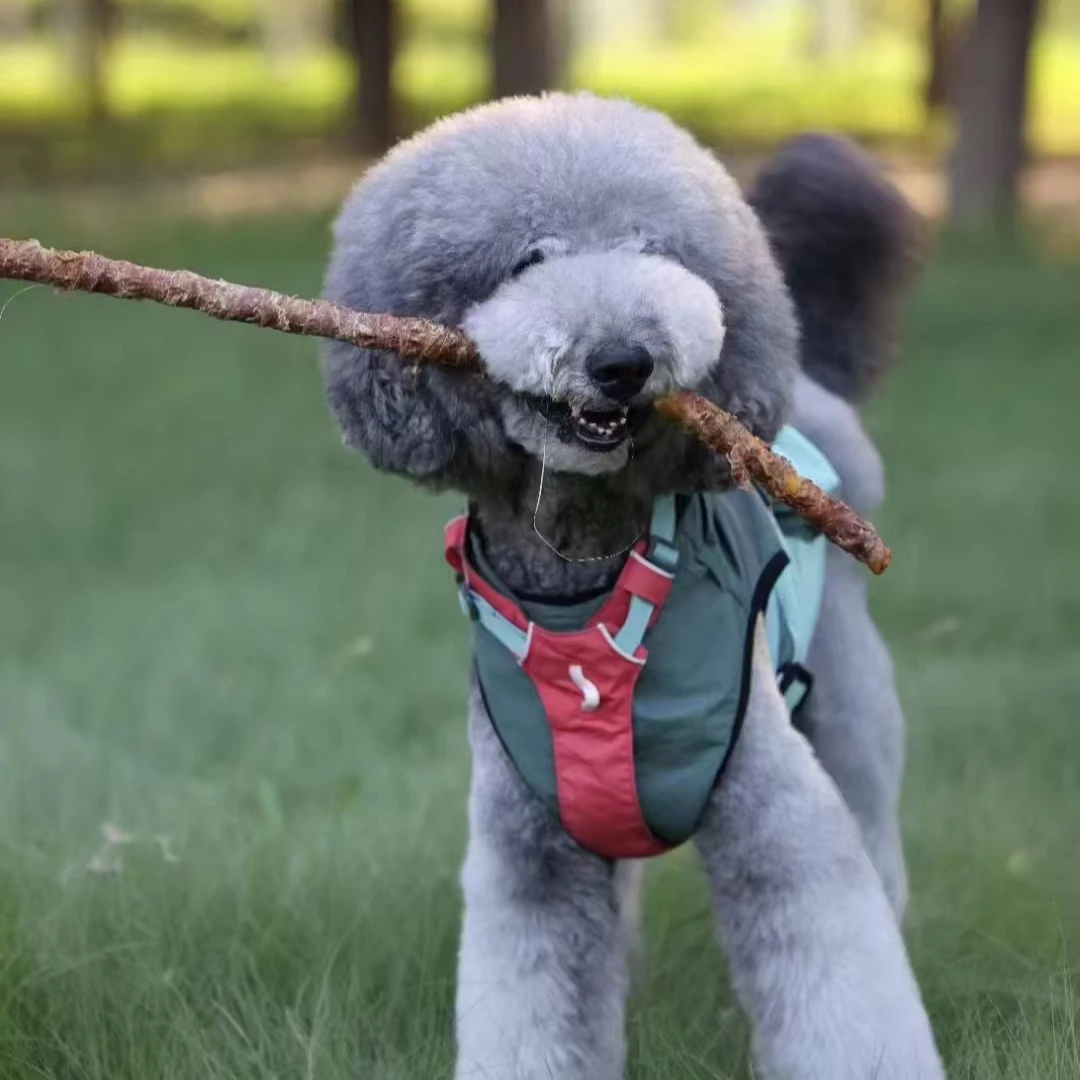 24cm Jumbo Teething Sticks High Protein Pet Treats No Artificial Colors Moisture <10 Pure Cowhide 100% Pure Meat