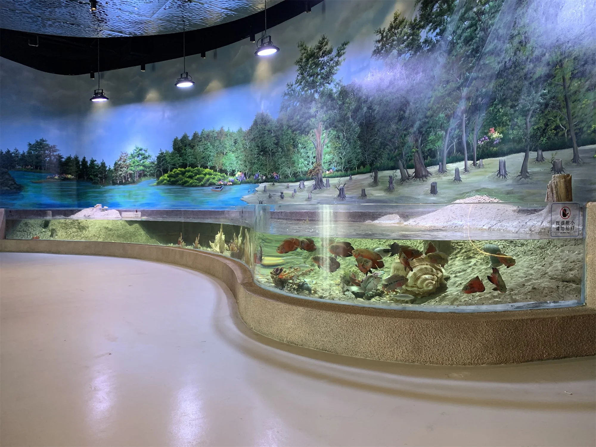 S shape acrylic aquarium panel price for aquarium project