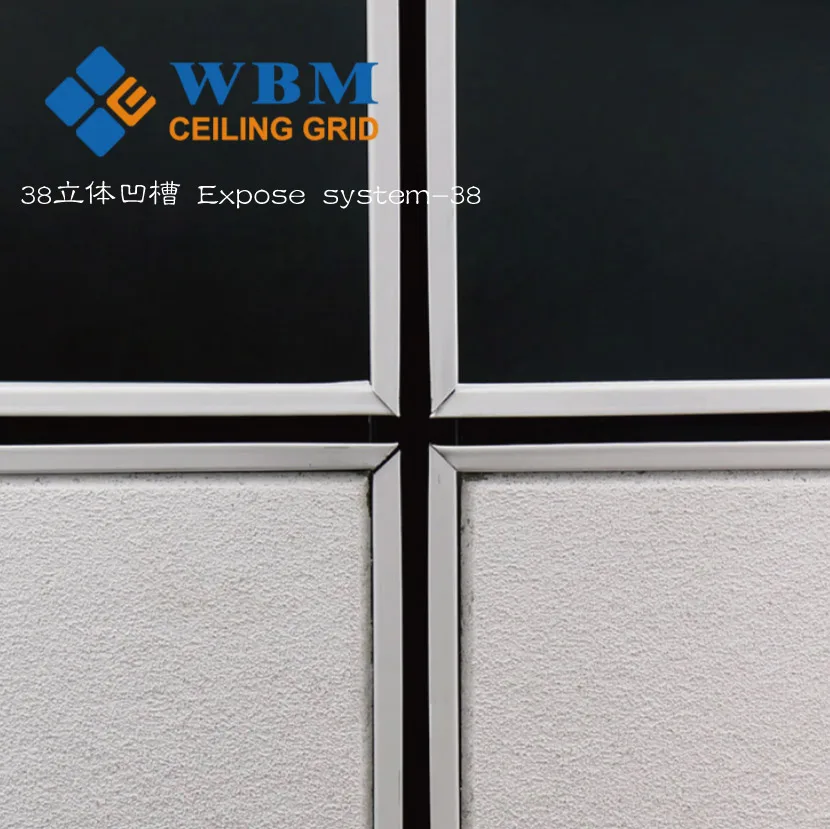 WBM Expose Suspended Galvanized Ceiling T Grid Components /construction Material/ceiling Frames Paint Keel 32/38