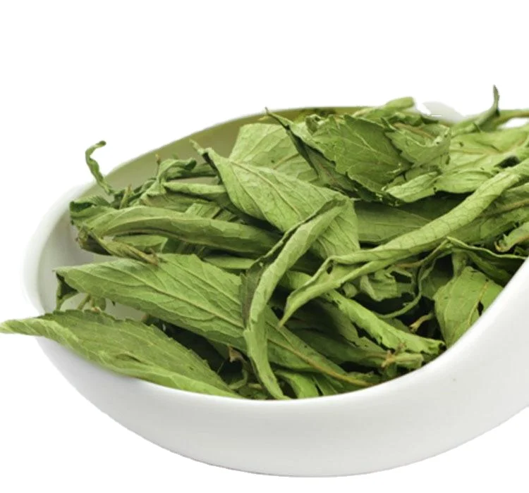 Wholesale Pure Chinese Herbal Tea Tian Ju Ye Dried Stevia Leaf Tea