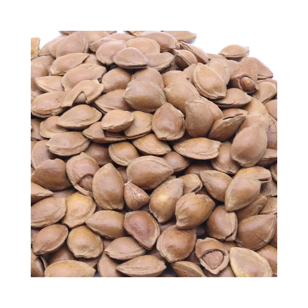 
Sell good almond nut snack food at low price wholesale price 