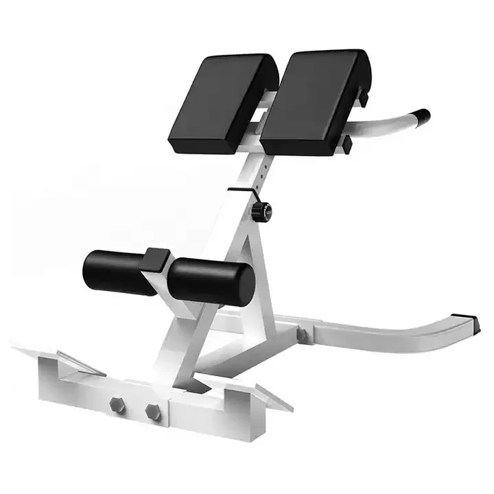 Wholesale Indoor Adjustable Gym Bench Roman Chair for Exercise Use