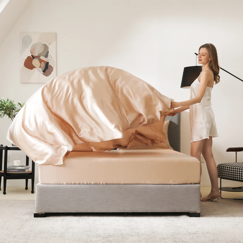 Luxury 19/22/25 Momme 6A Grade Silk Pillow Case Zipper Closure Multi Color 100% Mulberry Silk Pillowcase