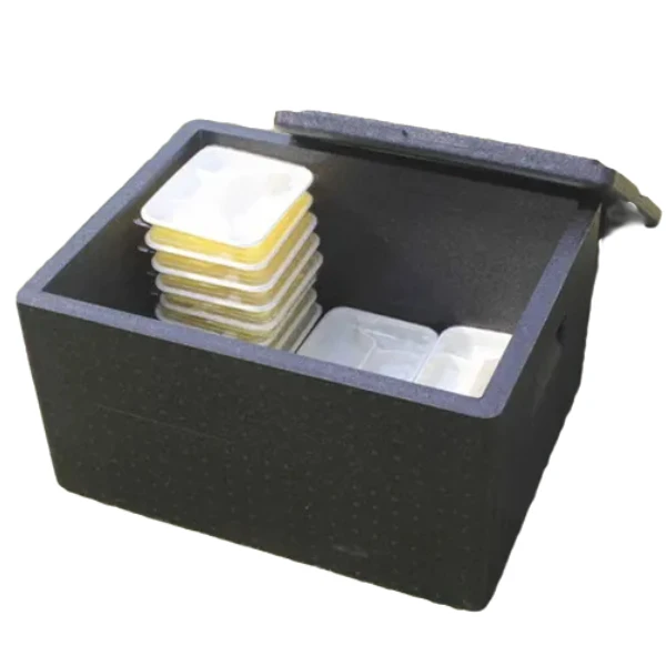 Cooler Box cooler bag ice metal Outdoor Camping Fish Storage Container