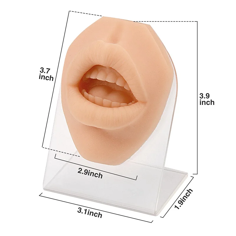 Snake Bite Mouth Piercing Model Silicone Body Parts for Piercing & Suture & Injection & Lip Tattoo Techniques Practice