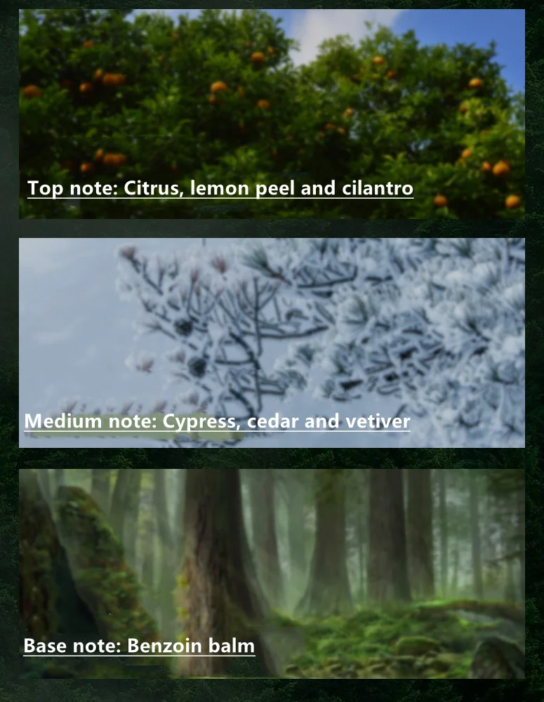 Male Fragrance Luxury Woody Note 100 ml EAU DE TOILETTE premium gift box men  perfume