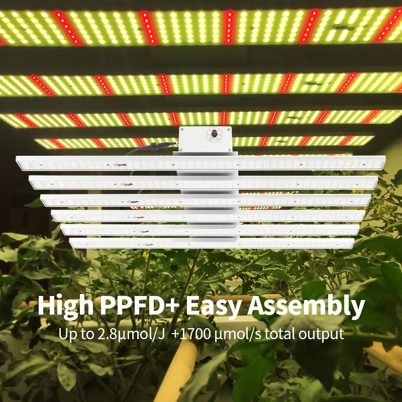 China Manufacturer Supply 600W/480W Dimmable Lant Led Light Bar Full Spectrum Led Grow Light For Greenhouse