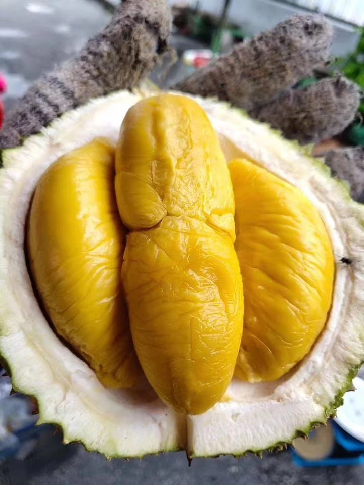 
Premium Grade Quality Whole D197 Musang King Durian in Bulk Supplier 