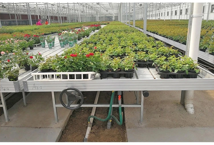 Professional 4x4 3x6 4x6 4x8 ABS Plastic Hydroponic Pans Flood Tray