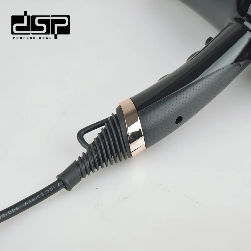 DSP Customized Logo 1600W Hair Dryer Blower Salon Use Hair Dryer 2022 Hand Dryer For Hair