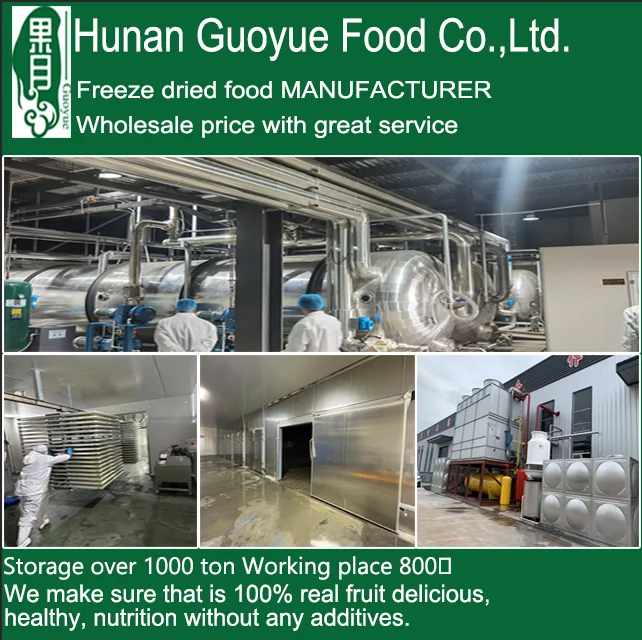 Guoyue Freeze Dried Strawberry Slice Real Fruit Health Snack Sour Dried Berry Freeze-dried Fruit Wholesale FD Strawberry