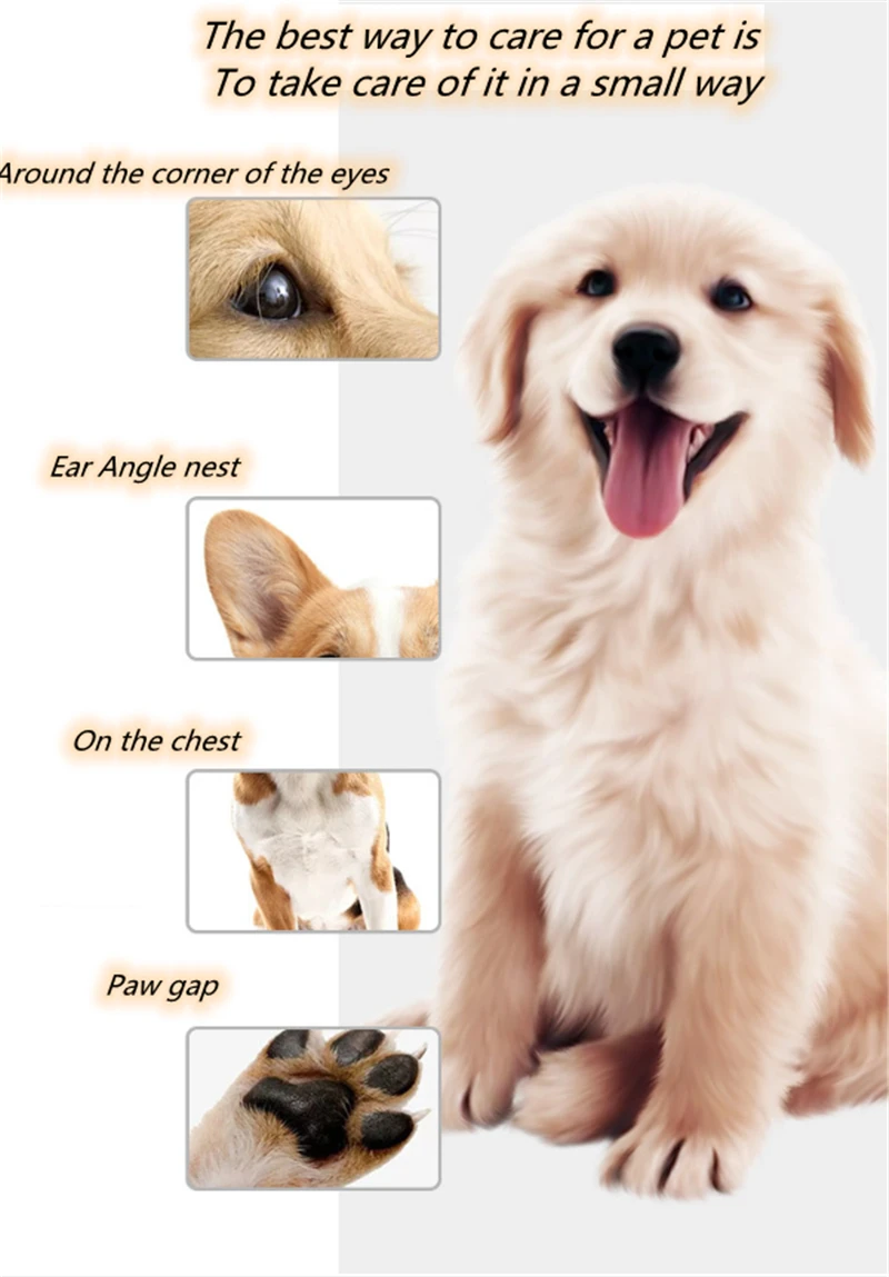 Portable Professional Rechargeable Pet Grooming Cat Clippers Dog Clippers With Detachable Blades For Small Dogs