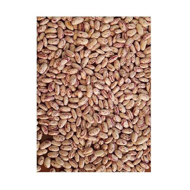 Natural Good High Quality Healthy Light Speckled Kidney Beans Product From Ethiopia Suppliers