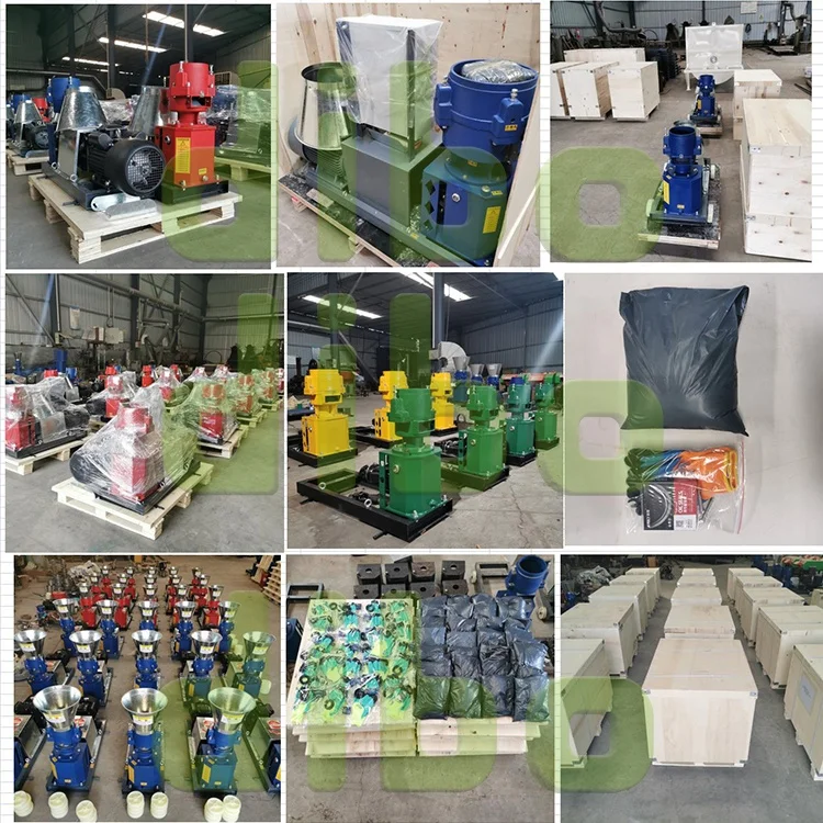 Poultry chicken animal feed pellet making machine mini granulator extruder machine floating fish feed pellet extrusion machine