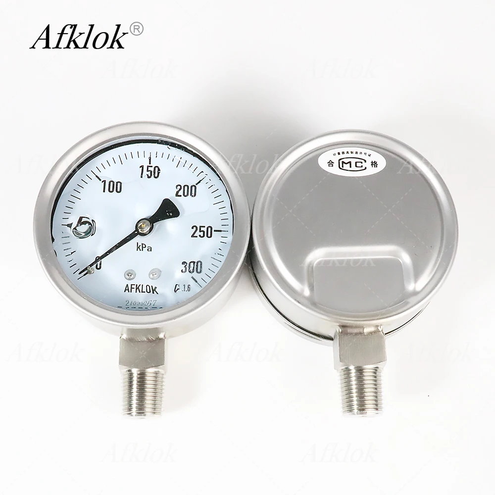 Stainless Steel Case Oil Pressure Gauges For Liquid or Gas 8/60/300/1000Kpa Dial 100mm Radial Connection 1/2in Male Threads