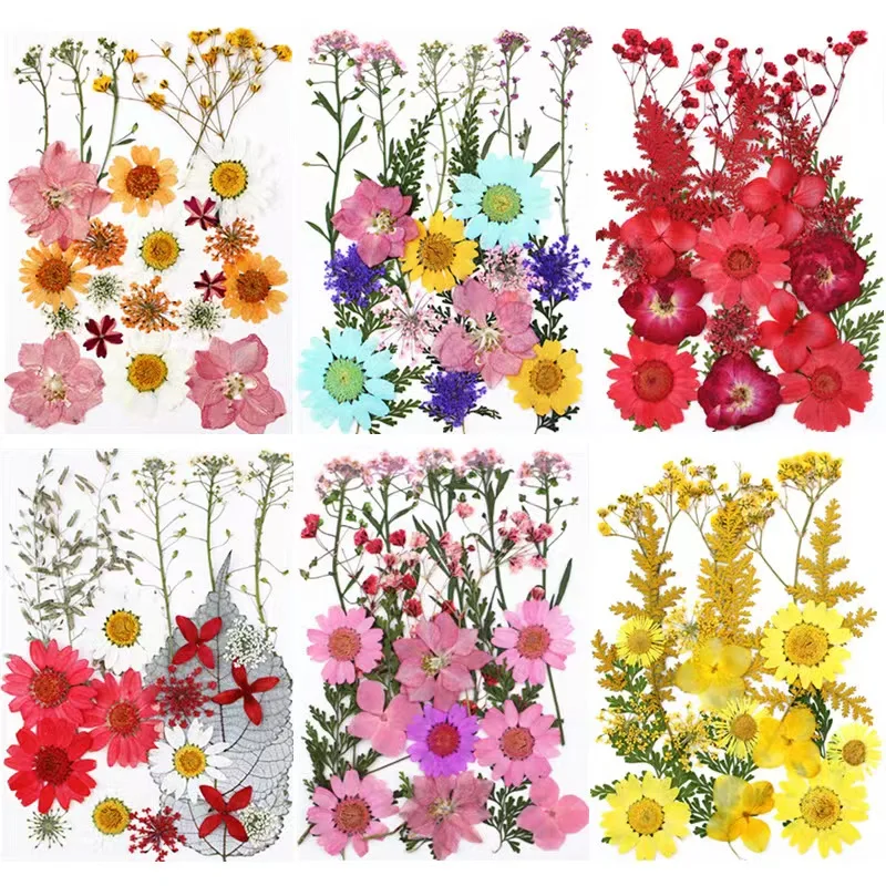 Bulk Sale Multicolor Multifunctional DIY Candle Phone Case Make Decorative Pressed Dried Flowers For Resin