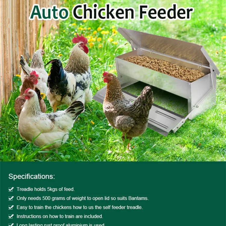 CHICKEN STEP FEEDER / Automatic chicken feeder for poultry chickens