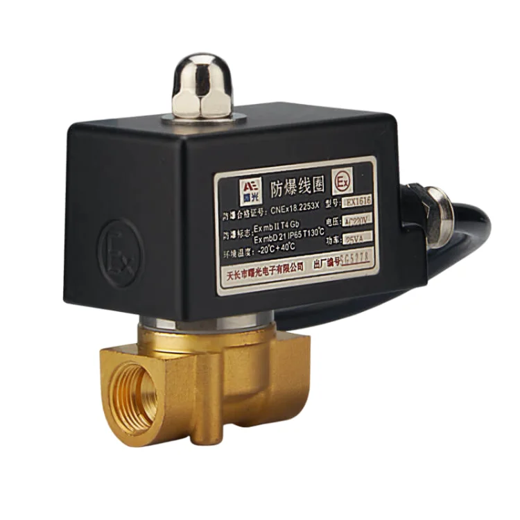 Explosion Proof solenoid valve 12 volt 1/4 NPT 2 Way 2 Position 12V Pneumatic Solenoid Valve