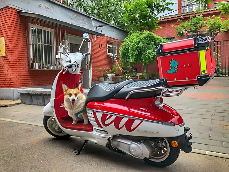 SHENGLIN Saddlebags дешевый алюминиевый верхний чехол для мотоцикла