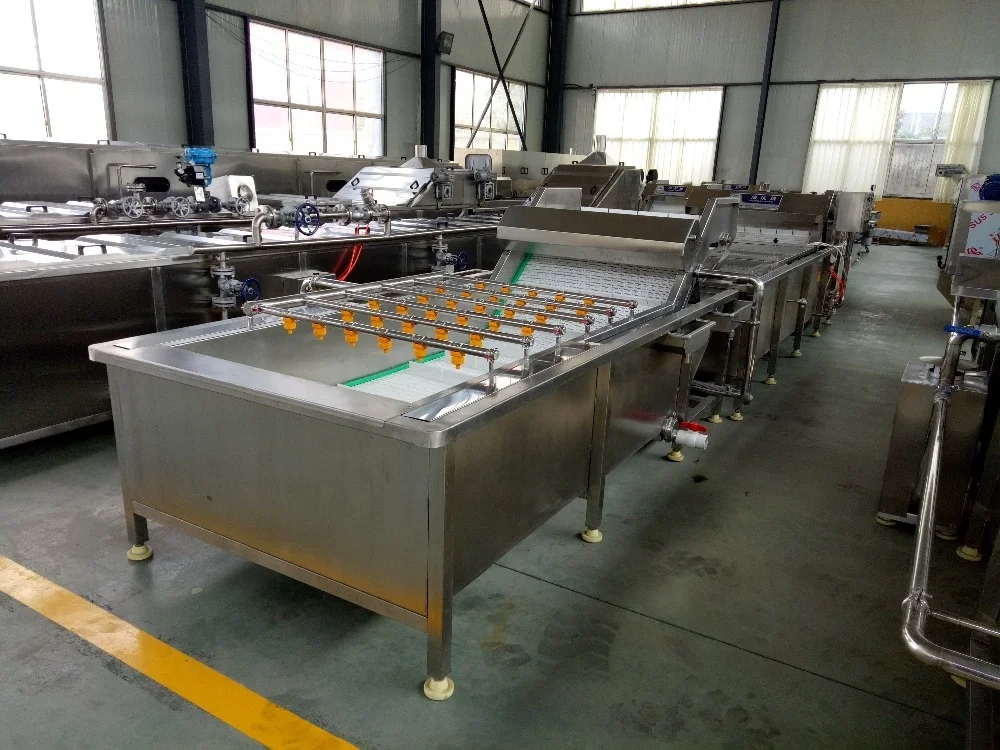 Commercial fruit washer equipment banana washing machine price