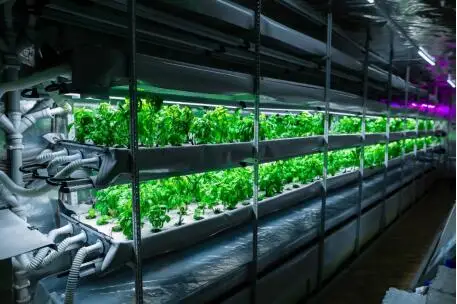 Лучшая гидро-лампа для выращивания салата microgreens светодиодная лампа полного спектра комнатных растений в саду