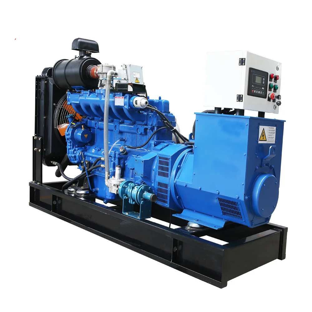 Animal Manure Farm Use Methane 3phase Water Cooled 100kW 200kW 300kW 500kW Silent Type Bio Gas Generator