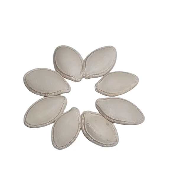 Inner Mongolia factory Dried Snow White Pumpkin Seeds Manufacturer Cheap Price Good Quality