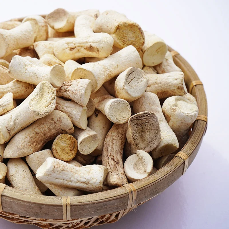 Excellent Quality Premium Stem Treated Dehydrated Mushroom champignon root
