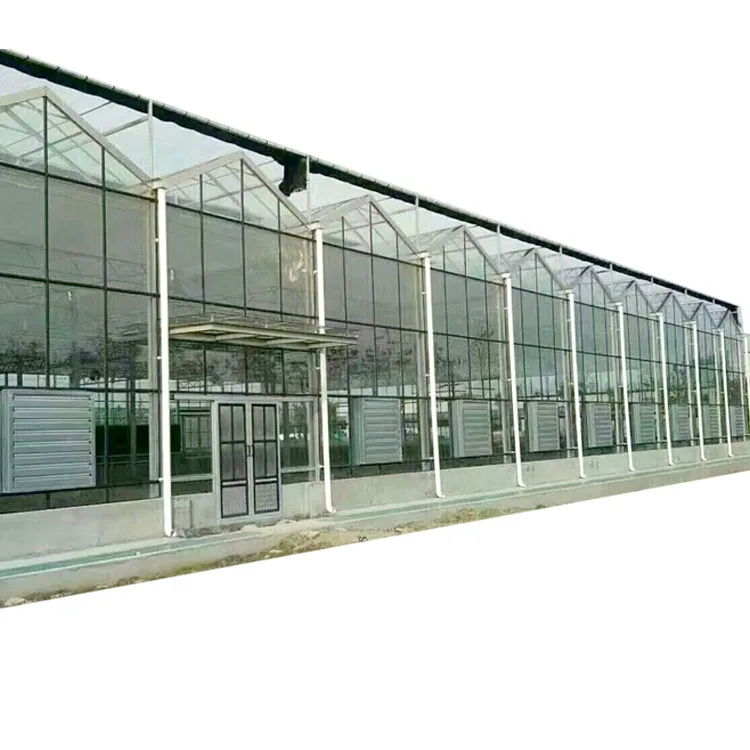 Hot Sale Commercial Glass Greenhouse Intelligent Agricultural Greenhouse  For Hydroponic System Planting Turnkey Project
