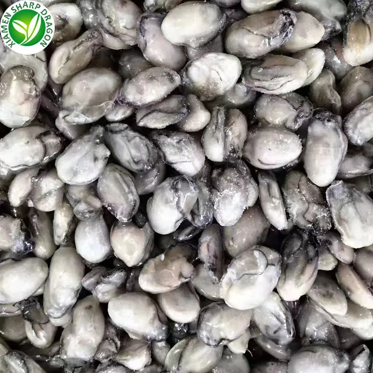 SD IQF frozen oyster meat without shell